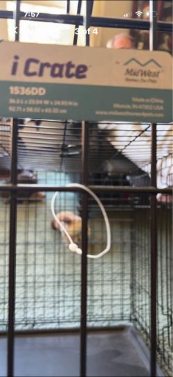 Dog kennel