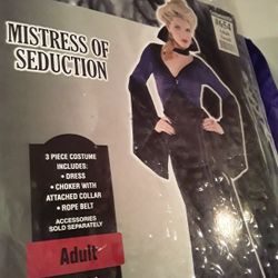 Mistress of Seduction Costume 
