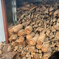 Firewood