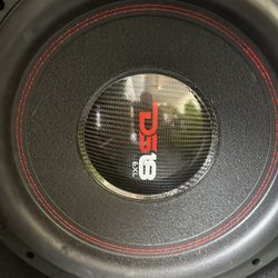 12” Ds18 Subwoofer 