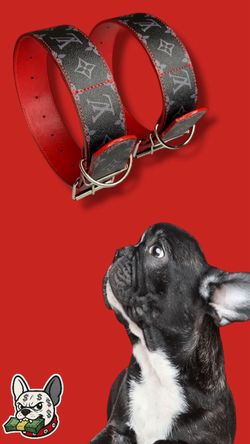 CUSTOM DOG COLLARS