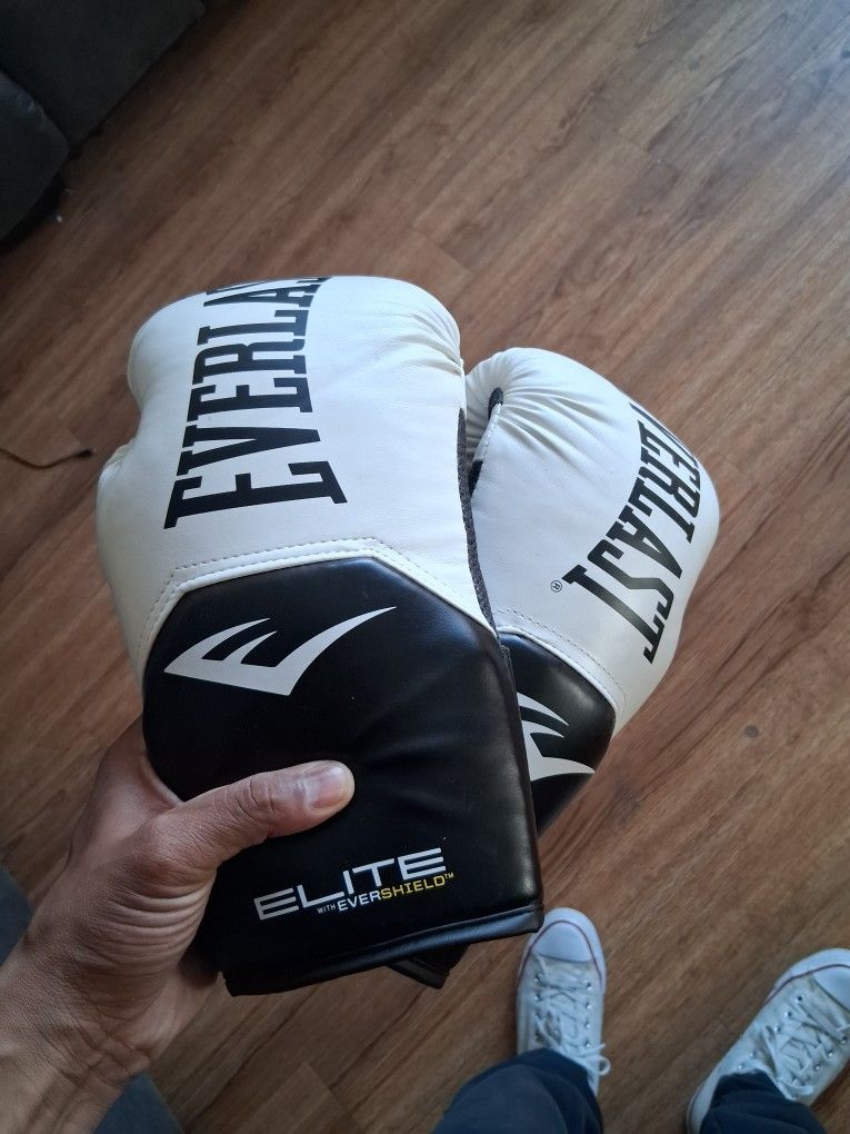 Everlast Boxing Gloves