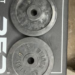 1 Inch Bumper Plates - 5lb Pair