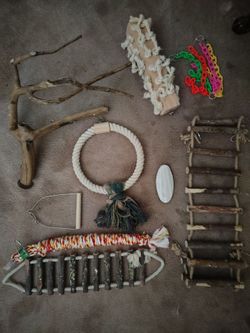 Bird cage with toys and food