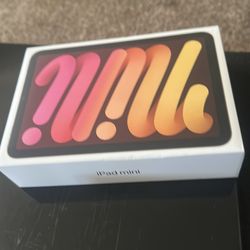 iPad mini 256 gig