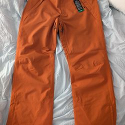 Oakley Men's Best Cedar RC Insulated Snow/Ski Pants Size L (36x32)
