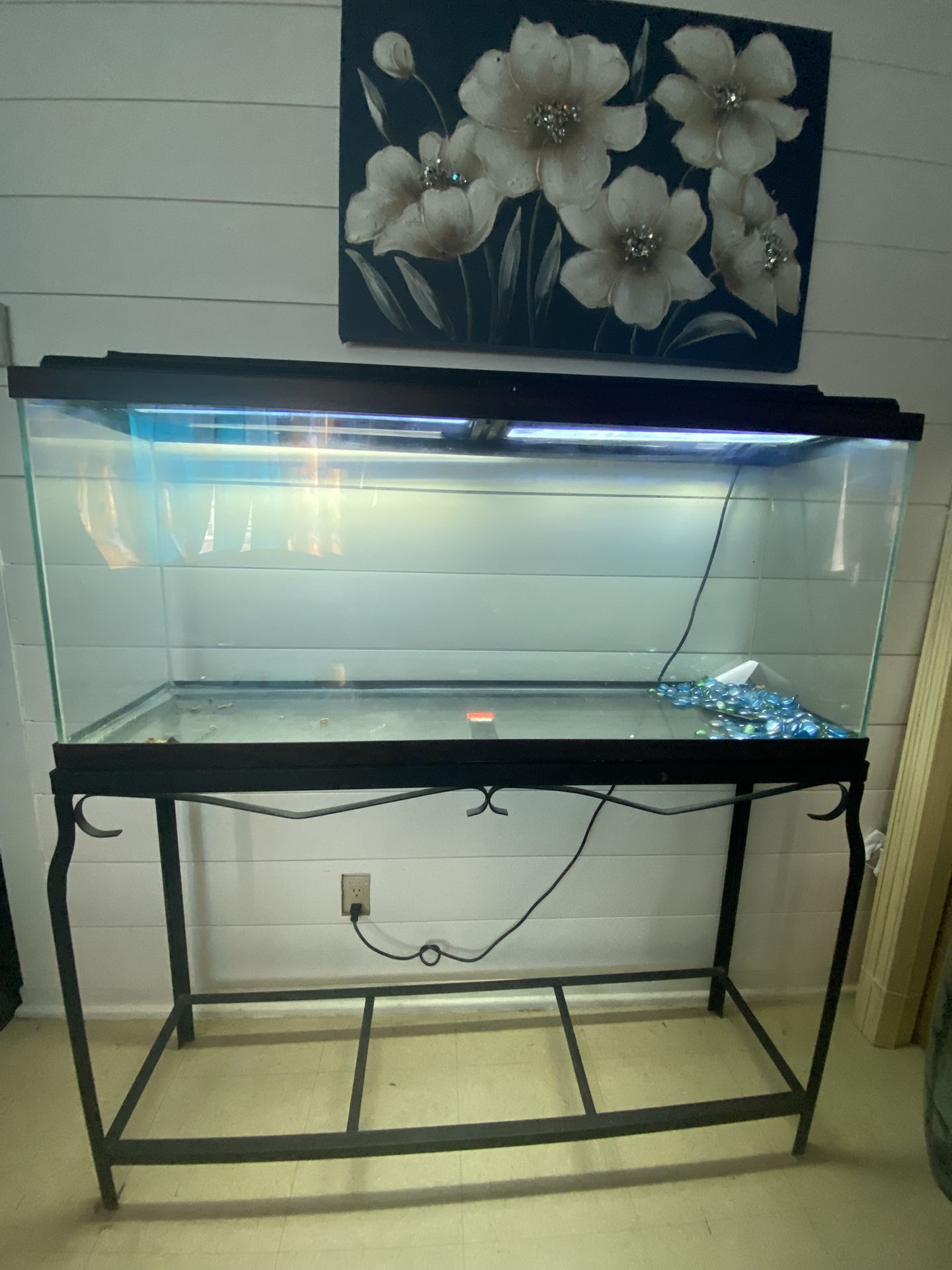 Fish Tank