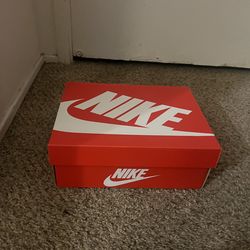 Nike Dunk Low’s (Size 3Y)