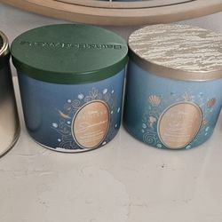 Bath and Body Works Candles Lot