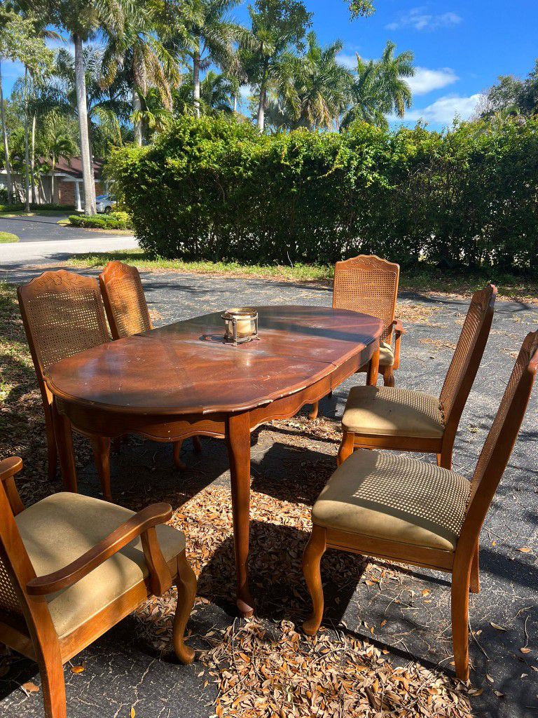 Wood Dinning Table With 6 Chairs