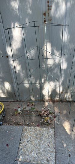 Tomato cages