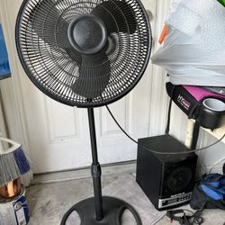 Fan