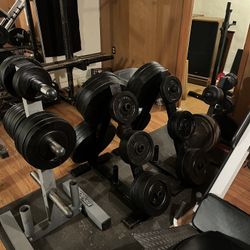 Olympic plates, bars, and plate stands. Excellent condition!