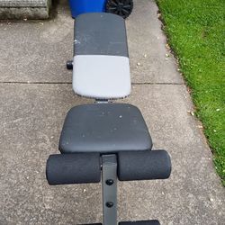 Dumbbell Bench
