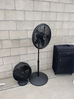 Two Fans Small And Told