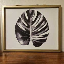 Gold Framed Black And White Print Of A Monstera Plant Leaf