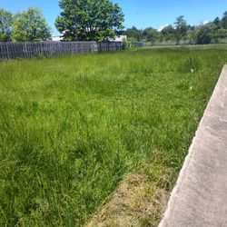 Landscaper 