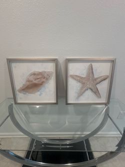 Seashell & Starfish Wall Decor