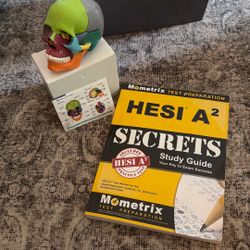 HESI A2 study guide, anatomy skull 