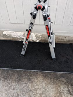 Little giant multiuser 12 feet $100 firm price