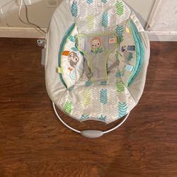 Baby Bouncer 