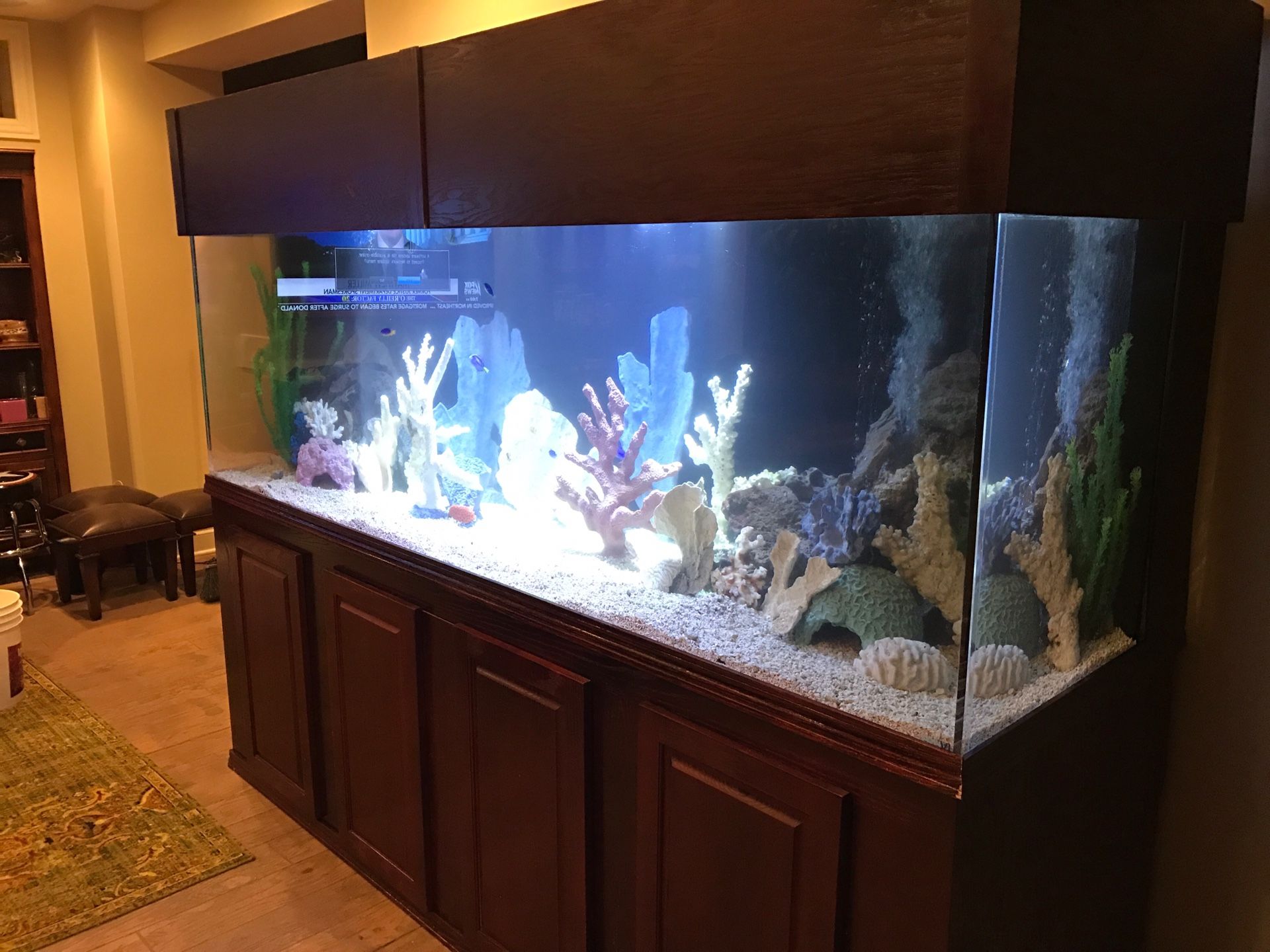 374 or 400 Gallon Fish Tank w/sump, stand and canopy!!! for Sale in