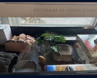 40 Gallon Terrarium