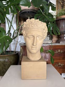 Apollo Belvedere Style Bust Sculpture – 20” Tall Classical Reproduction