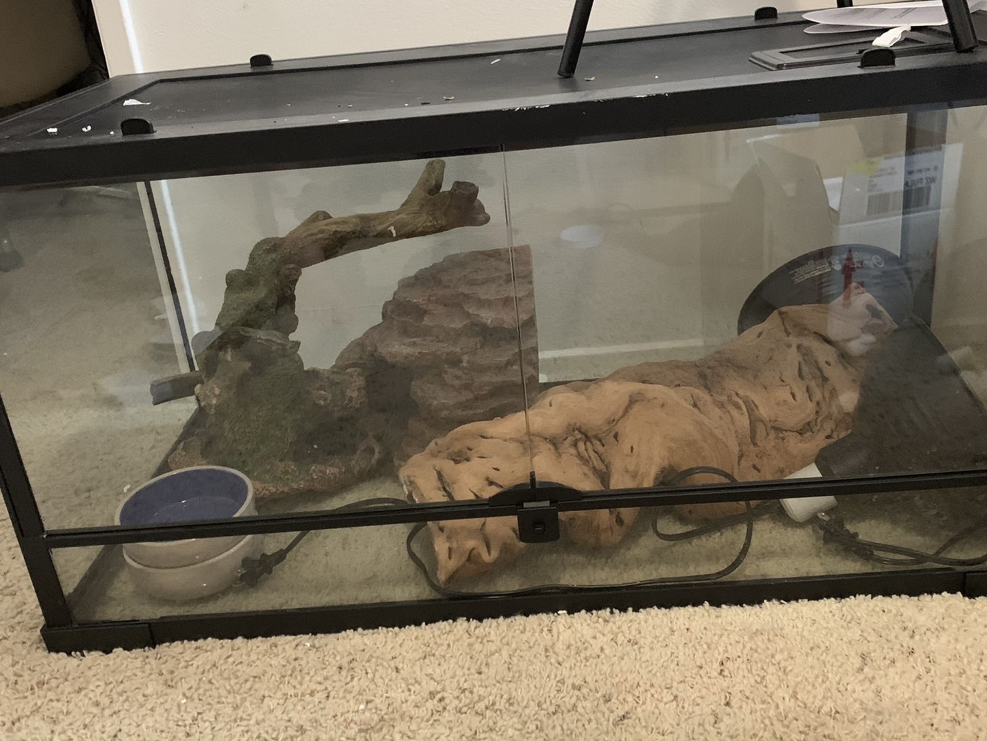 40 Gallon Reptile Tank