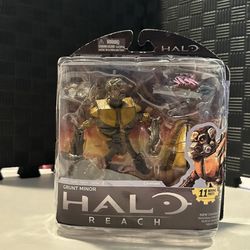 Halo McFarlane