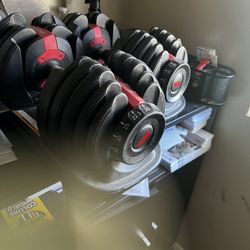 Bowflex Dumbells