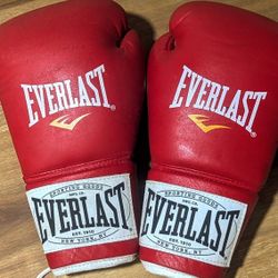 Everlast 1910 Boxing Gloves Y. Gamboa 