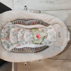 Baby Bouncer