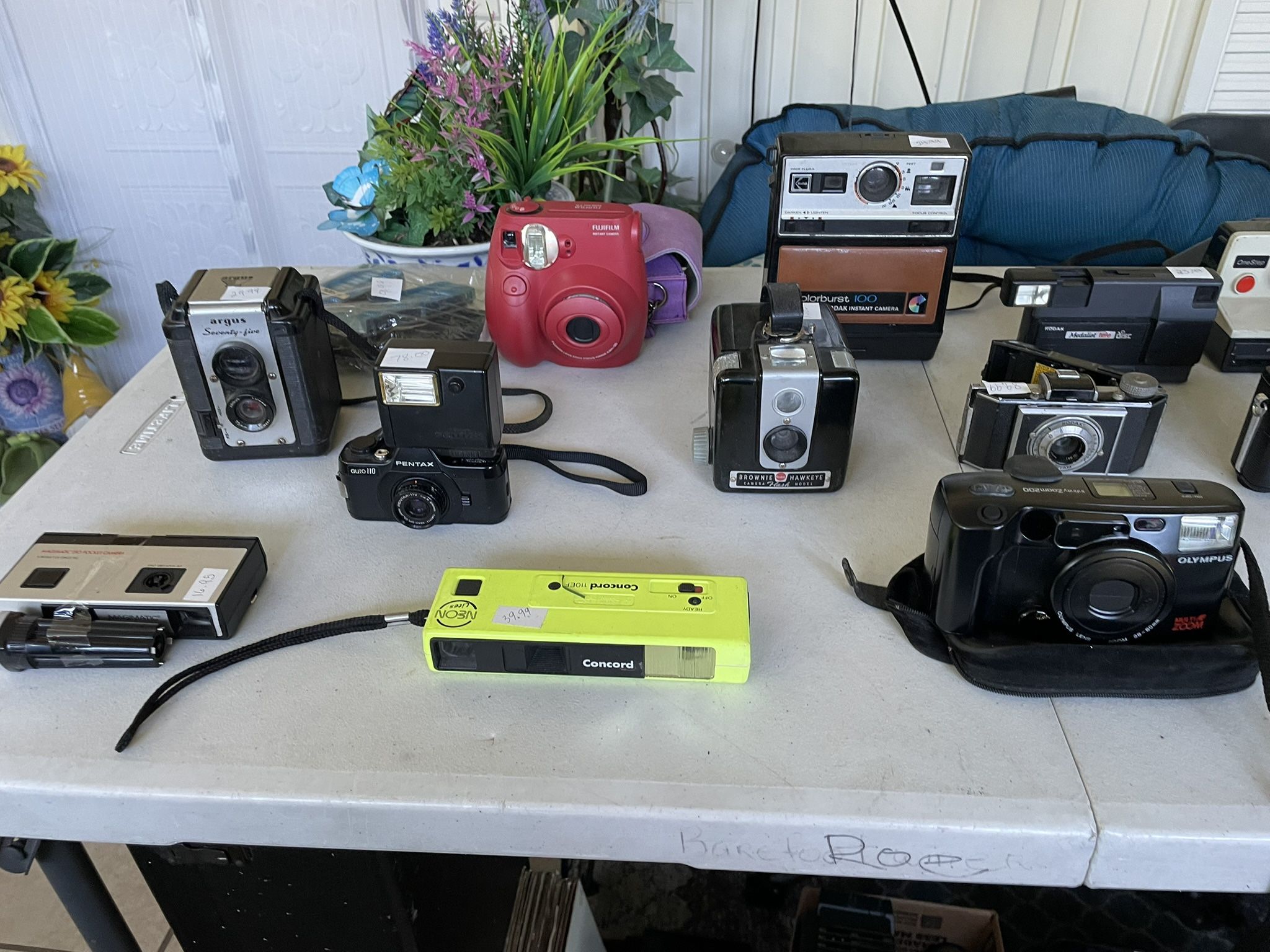 Vintage Camera Collection