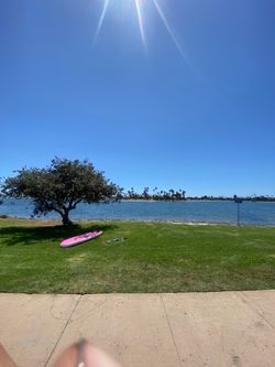 Paddle board