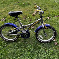 16” Schwinn Kids Bike