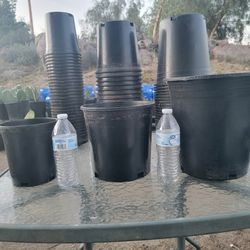 Brand New Plant Pots!