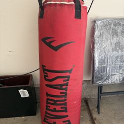 Everlast Heavy Punching Bag