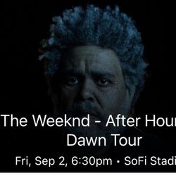 The Weekend Concert Tickets, Friday Sep 2. Section 231