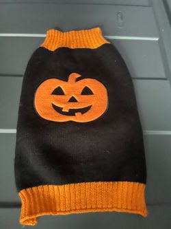 Pumpkin sweater for dog