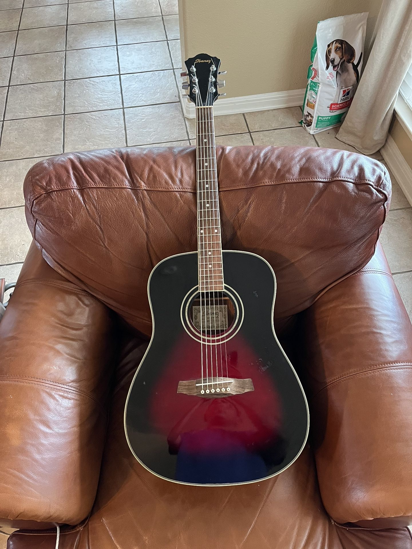 Ibanez Sgt120 1996