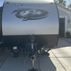 2021 Wolf pop Wolf limited