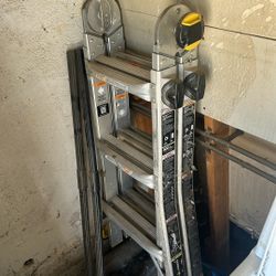 Little Giant Ladder 