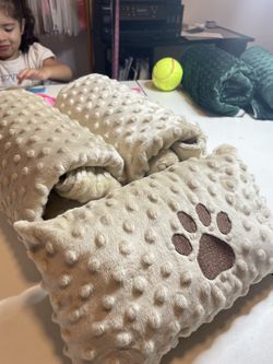 Blanket And Pillow Set