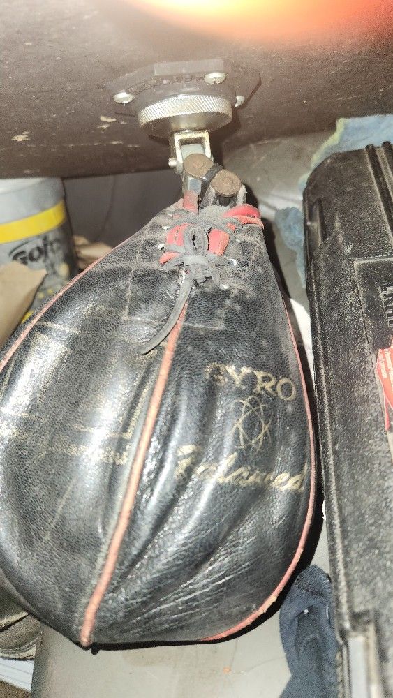 Everlast #4204 Speedbag With Support