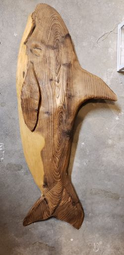 drift wood whale