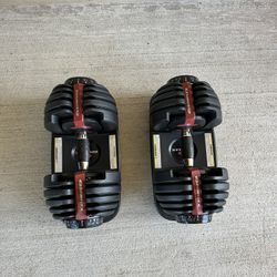 Bowflex SelecTech 552 adjustable Dumbbells $360