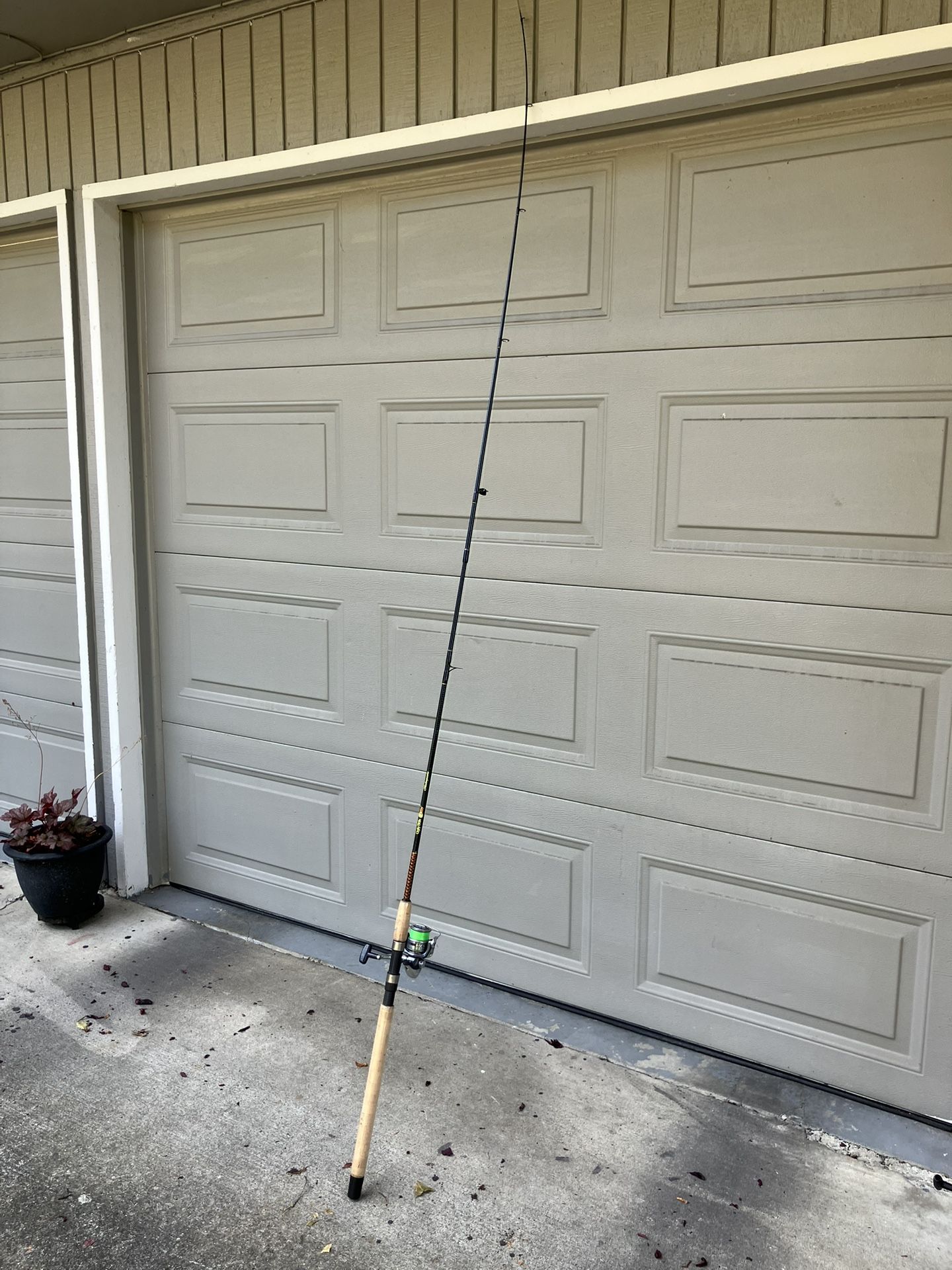 Fishing Rod and Reel