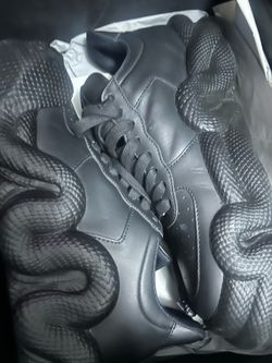 giuseppe zanotti cobra sneakers