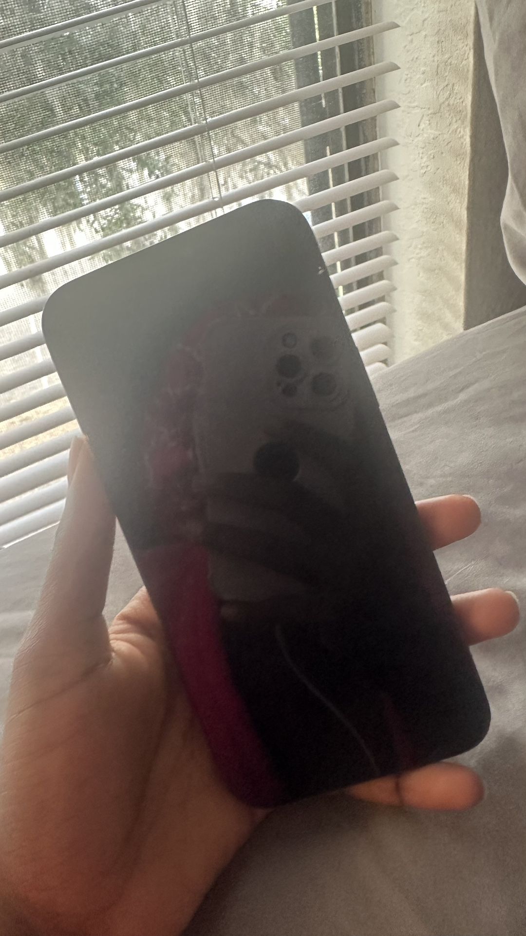 iPhone 12 Pro Max (Needs Screen Replacement)
